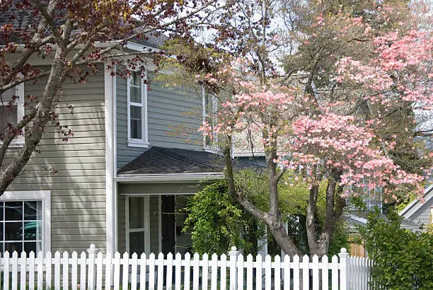 1900's home with white picket fence and attractive dogwood tree in Hood River, Oregon.