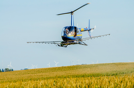 Robinson RR4 helicopter spraying insecticide on corn field in Story County, Iowa, USA.