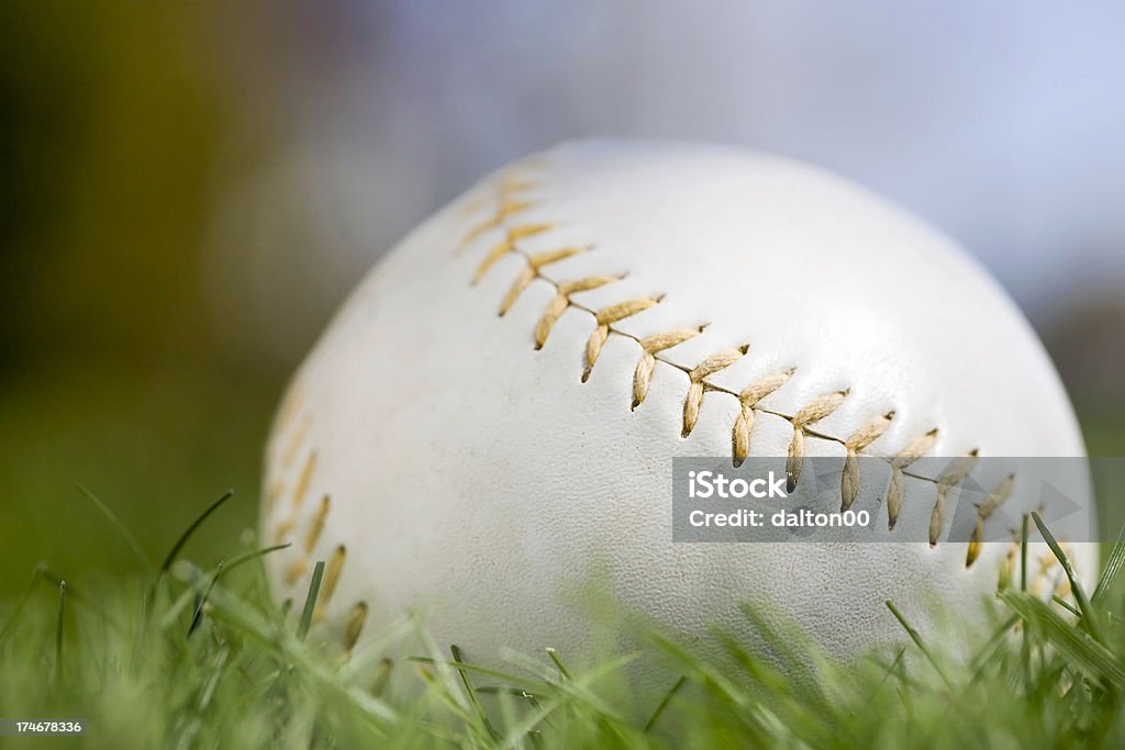 Softball A softball in the grass. Shallow depth of field. Baseball - Ball Stock Photo