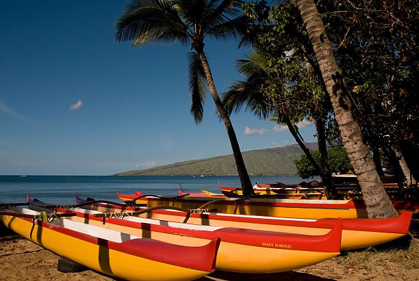istock Traditional outrigger canoes on Maui 174678341