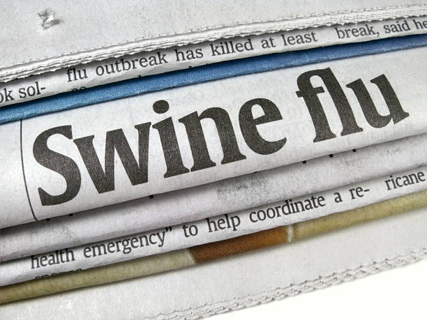 istock Swine Flu Epidemic Headline 174678438