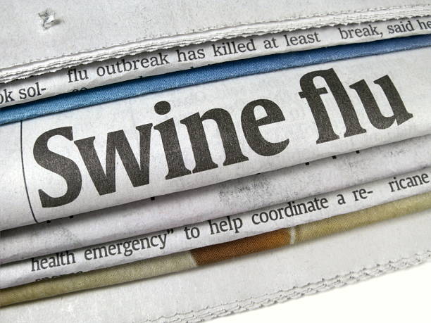 Swine Flu Epidemic Headline stock photo