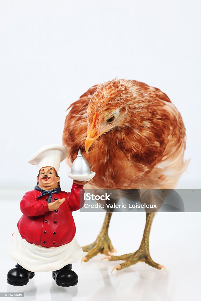 Huhn auf der Speisekarte - Lizenzfrei Bedienungspersonal Stock-Foto