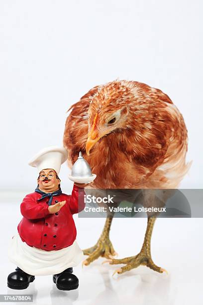 Huhn Auf Der Speisekarte Stockfoto und mehr Bilder von Bedienungspersonal - Bedienungspersonal, Butler, Dienstleistung