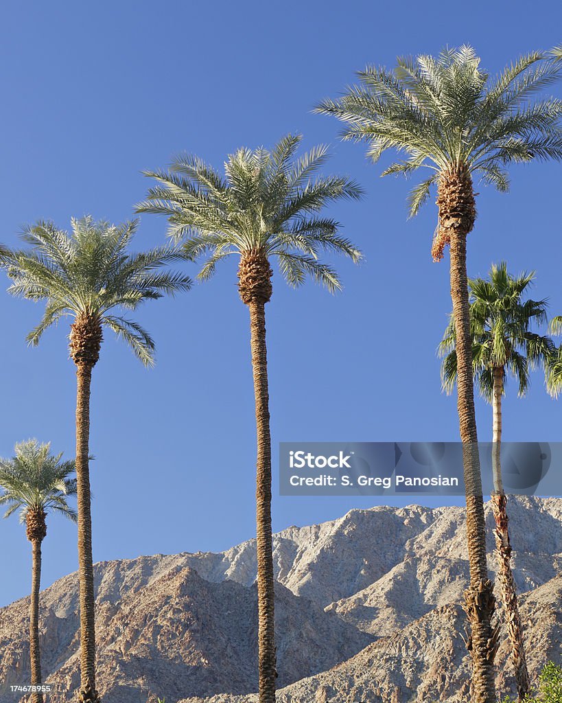Paisagem de Palm Springs - Foto de stock de Palm Springs royalty-free