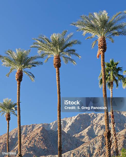 Foto de Paisagem De Palm Springs e mais fotos de stock de Palm Springs - Palm Springs, Plano de Fundo, Vale Coachella