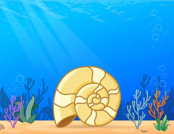 Vector illustration of Shell at the bottom of the sea.