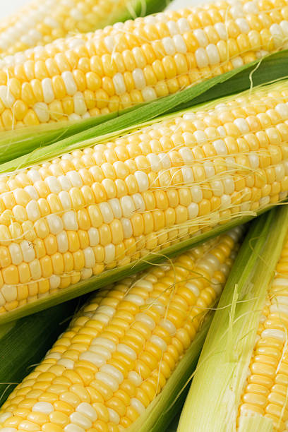 istock Sweet Corn on the Cob Vt 174680484