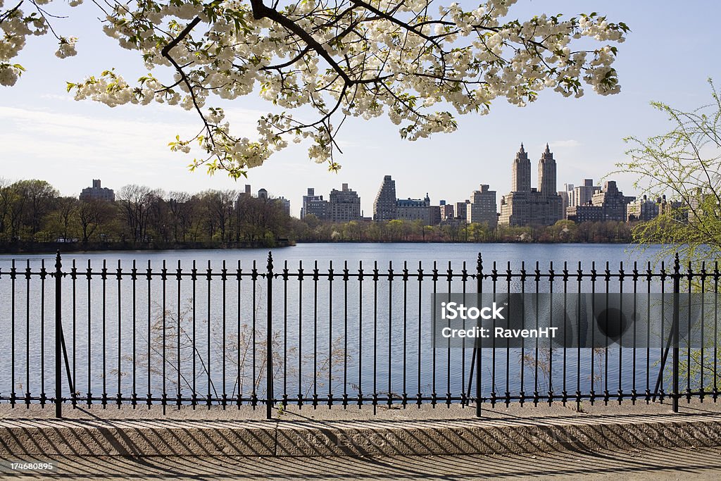 Central Park in Spring Jacqueline Kennedy Onassis Reservoir Central Park Reservoir Stock Photo