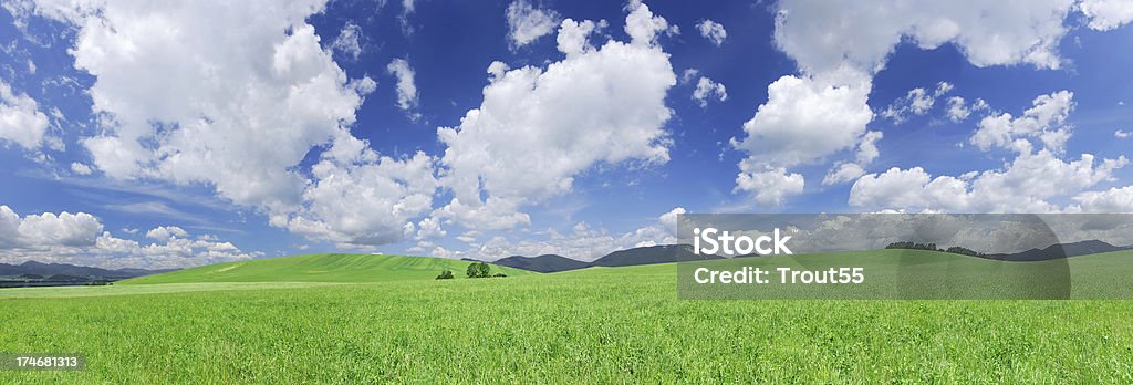 Paisaje-Verde campos, cielo azul y nubes blancas - Foto de stock de Aire libre libre de derechos