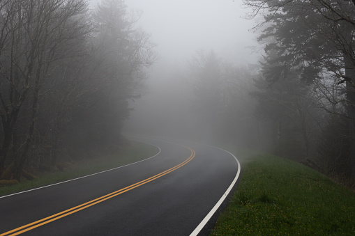 Fog on the Clingmans Dome road in the Great Smoky Mountains National Park