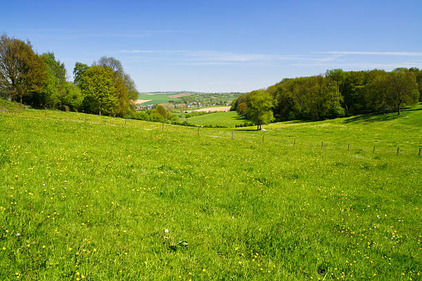 istock Landscape in the hills 174682541