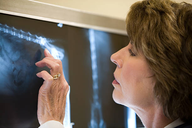 mirando a un veterinario xray. - human vertebra fotos fotografías e imágenes de stock