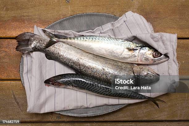 Foto de Três Peixes e mais fotos de stock de Alimentação Saudável - Alimentação Saudável, Arranjo, Bandeja