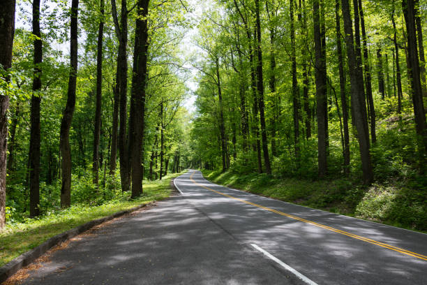 newfound gap road in der nähe des aussichtspunkts carlos campbell im great smoky mountains np - newfound gap stock-fotos und bilder