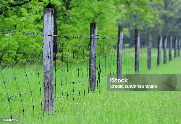Farm Fence — стоковые фотографии и другие картинки Манитоба - Манитоба, Ферма, Без людей