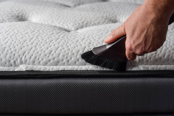 istock Closeup woman's hand using vacuum cleaner to vacuum matress 1746831247