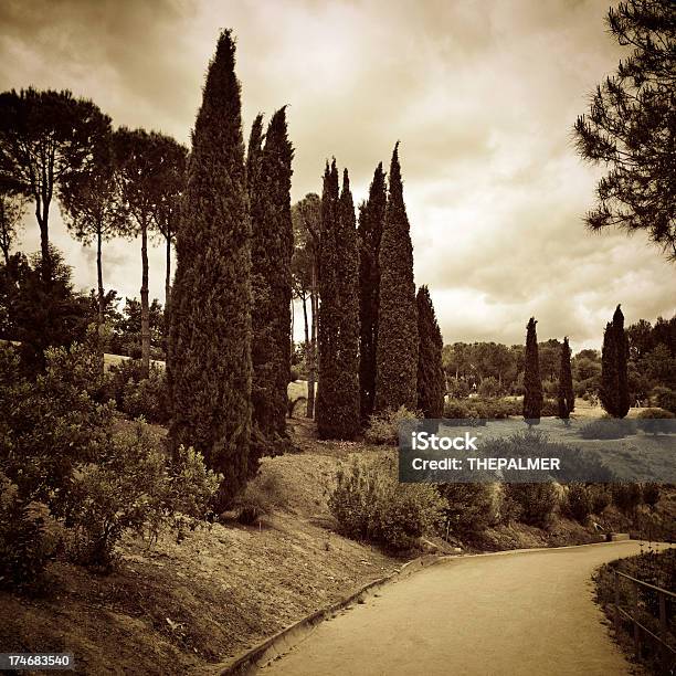 Cypress В Italica — стоковые фотографии и другие картинки 2001 - 2001, Антиквариат, Без людей