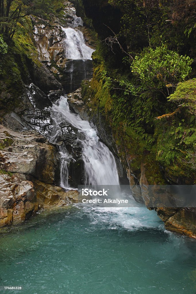 Cascata di Fiordland, Nuova Zelanda (XXXL - Foto stock royalty-free di Cascata