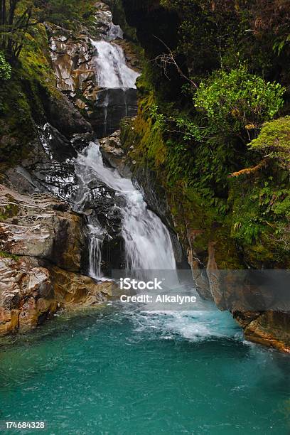 Cascata Di Fiordland Nuova Zelanda Xxxl - Fotografie stock e altre immagini di Cascata - Cascata, Composizione verticale, Acqua