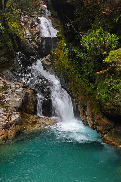 Fiordland waterfall, New Zealand (XXXL) stock photo