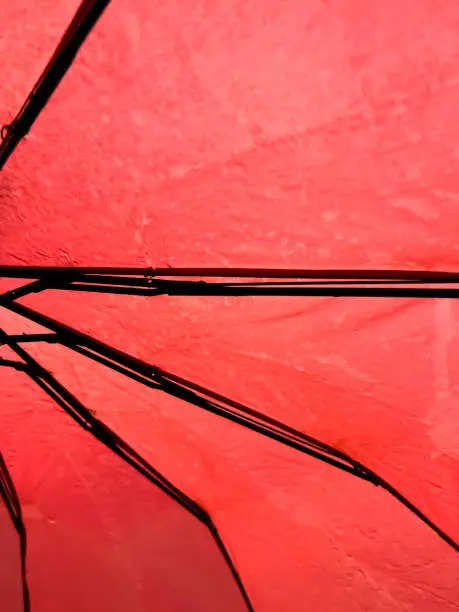 Photo of Umbrella close up. knitting needles on the red fabric of the umbrella. Wet umbrella from the inside.