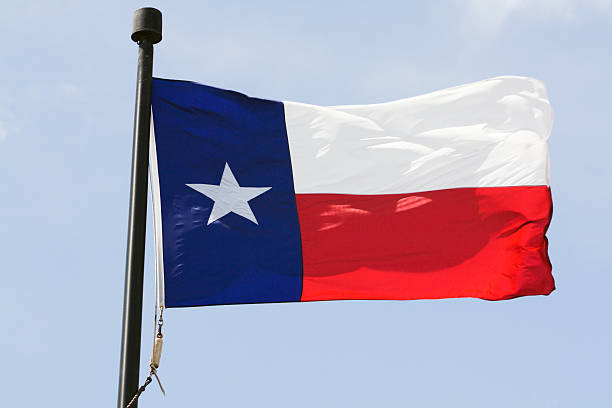 istock Flag of Texas 174685198