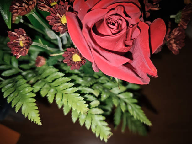 istock Red rose and fern leaf 1746854037