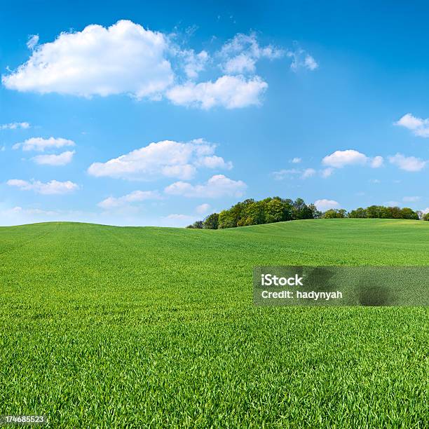 Piazza Paesaggio Di Primavera 38mpix Xxxxlcielo Azzurro Prato - Fotografie stock e altre immagini di Agricoltura