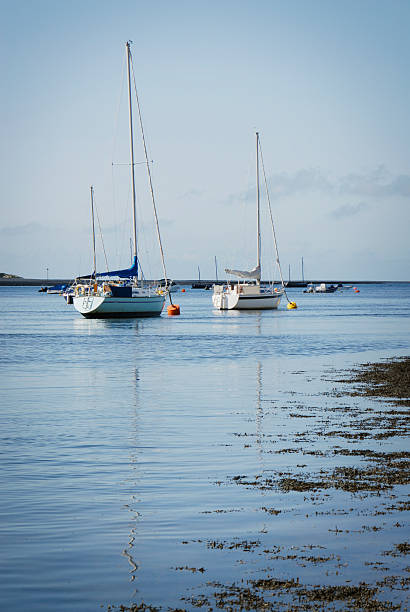istock Yachts moored on brightly coloured ocean buoys 174685952