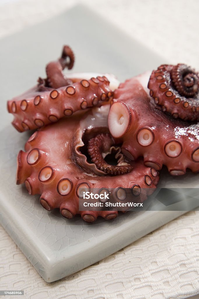 Japanisches Sushi - Lizenzfrei Krake - Cephalopode Stock-Foto