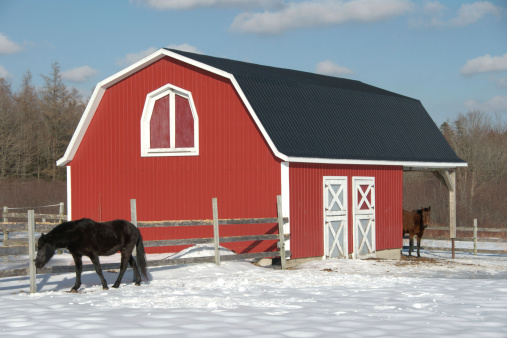 Red barn with two horses next to it.For similar pictures go to