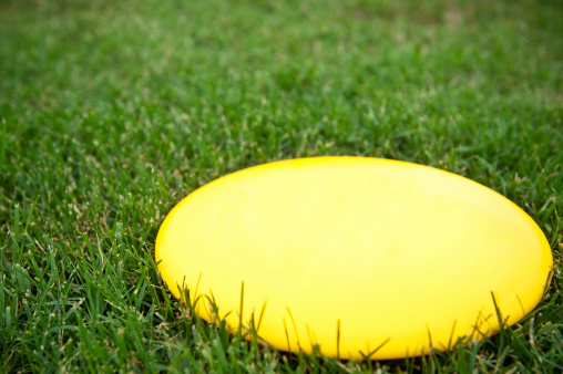 frisbee in the grass