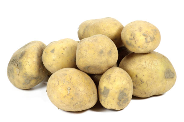 istock potatoes - variety Belana 1746865009