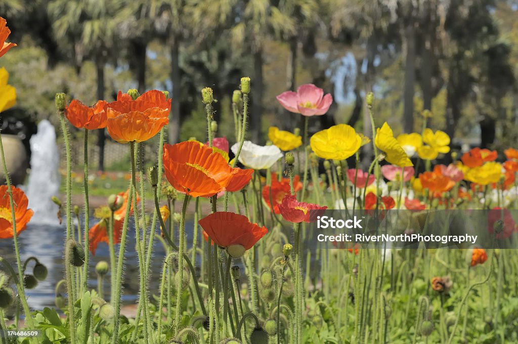 Brookgreen Gardens - Lizenzfrei Brookgreen Gardens Stock-Foto