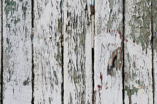 Grungy flaky white paint background on a wooden fence.
