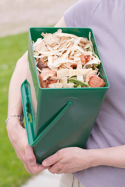 istock Woman holding a vegetable recycle bin 174686784