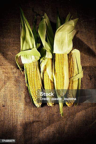 Corn Orejas De Arpillera Foto de stock y más banco de imágenes de Agricultura - Agricultura, Alimento, Amarillo - Color