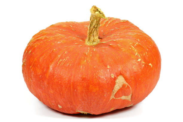 istock pumpkin - variety Rouge vif d`Etamps 1746869288