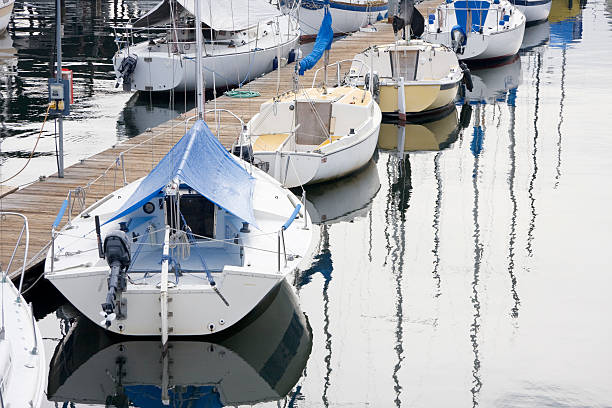 istock Row of Sailboats at Dock 174687419