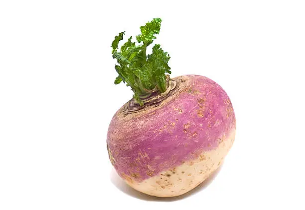 A turnip isolated on a white background.See similar images in my Food & Drink Lightbox