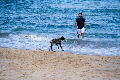 Tel Aviv, Israel - August 16, 2023: A young man with his German shorthaired pointer dog running along the beach at Tel Aviv, Israel on a sunny day.