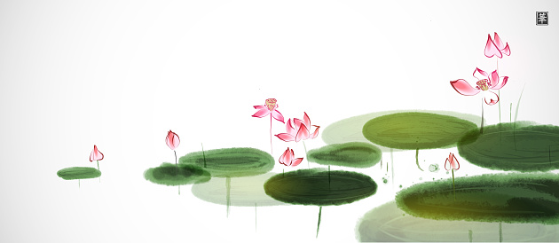 Pink lotus flowers with green leaves in a serene pond on white background. Traditional oriental ink painting sumi-e, u-sin, go-hua. Translation of hieroglyh - flower.
