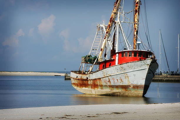 relitto di nave sul mississippi gulf coast dopo l'uragano katrina - barca per pesca di gamberetti foto e immagini stock