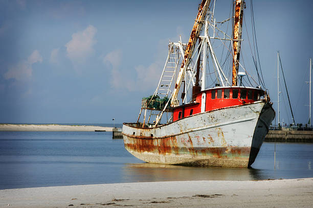 Ship Wreck on Mississippi Gulf Coast after Hurricane Katrina Wrecked shrimp boat on the beach of the Mississippi Gulf Coast following Hurricane Katrina. This ship was washed here by the storm in August 2005. ship wreck shore storm stock pictures, royalty-free photos & images