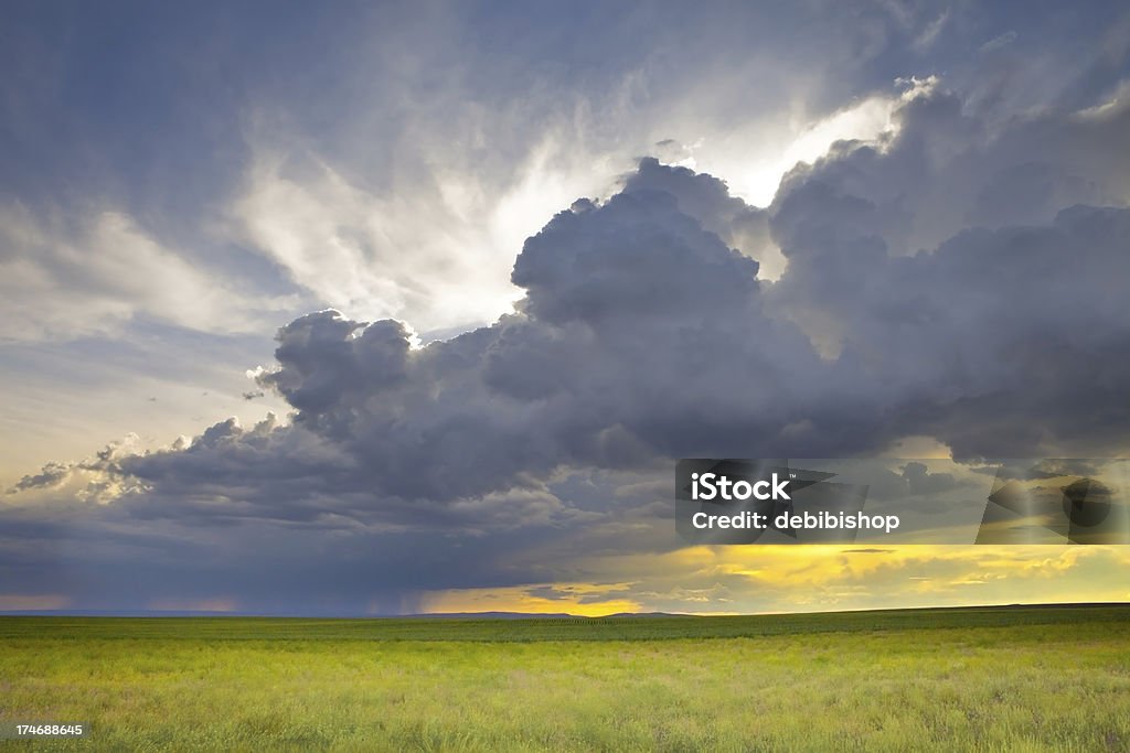 Sturmbewölkung & Sonnenuntergang über grünen Rasen - Lizenzfrei Blau Stock-Foto