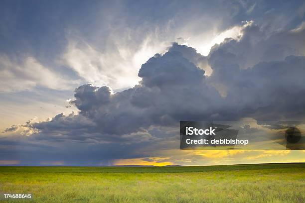 먹구름 해질녘까지 Over 버처 필드 0명에 대한 스톡 사진 및 기타 이미지 - 0명, 경관, 구름