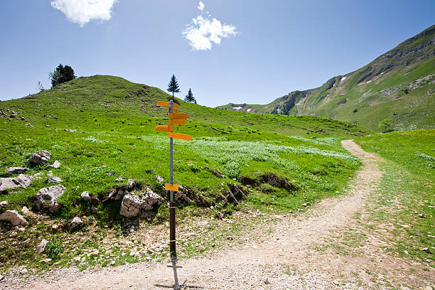 istock Swiss Alps with direction signs and path 174688699