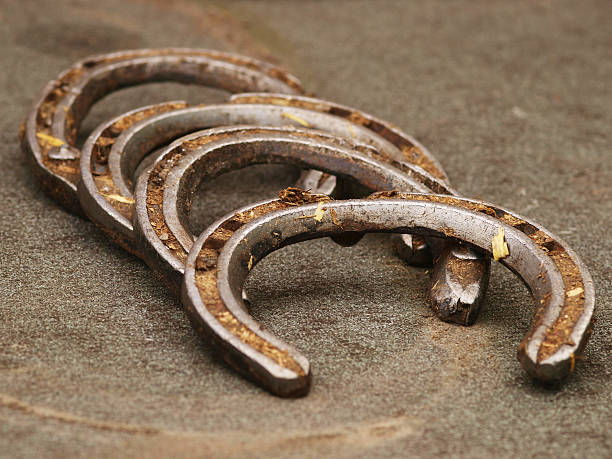 istock Set of  horse shoes 174688702