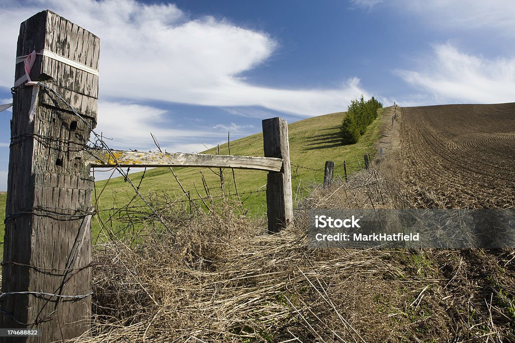 Campo arato e parete - Foto stock royalty-free di Agricoltura